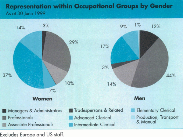 Graph Showing Representation within Occupational Groups by Gender