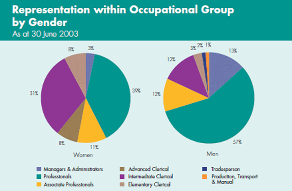 Graph: Representation within Occupational Group by Gender