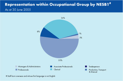 Graph showing representation within occupational group by NESB1 as at 30 June 2005.