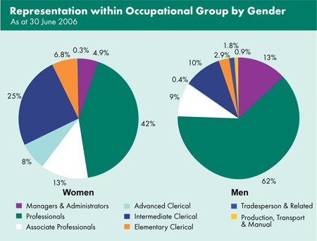 Graph showing representation within occupational group by gender as at 30 June 2006.