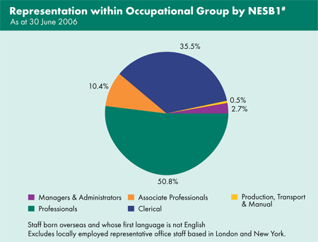 Graph showing representation within occupational group by NESB1 as at 30 June 2006.