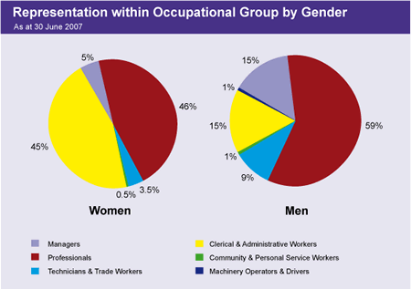 Graph showing representation within occupational group by gender as at 30 June 2007.