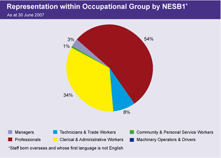 Graph showing representation within occupational group by people from a non-English speaking background as at 30 June 2007.