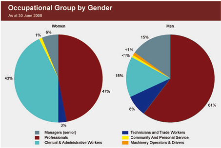 Graph showing representation within occupational group by gender as at 30 June 2008.