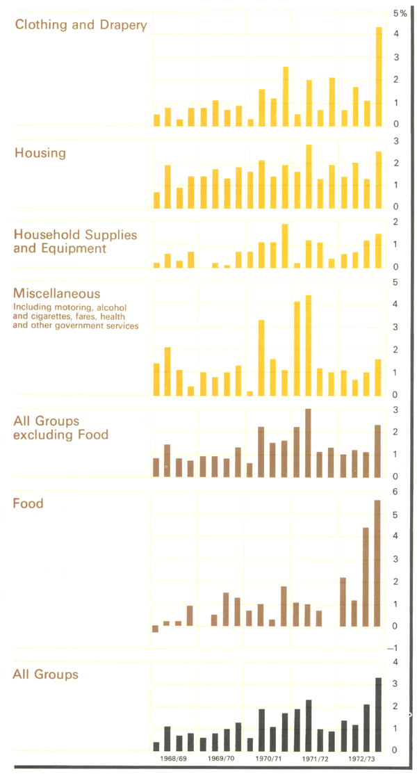 Graph Showing Consumer Price Index