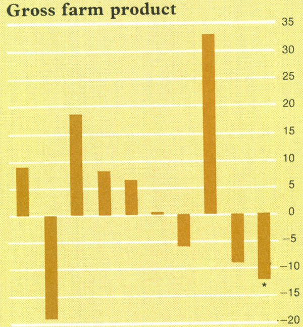 Graph Showing Gross farm product