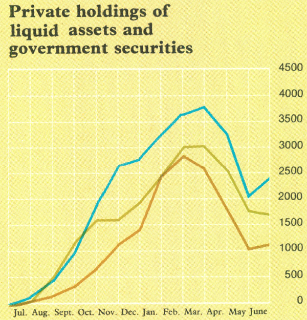 Graph Showing Private holdings of liquid assets and government securities