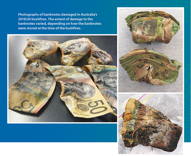 Photographs of banknotes damaged in Australia's 2019/20 bushfires. The extent of damage to the banknotes varied, depending on how the banknotes were stored at the time of the bushfires.