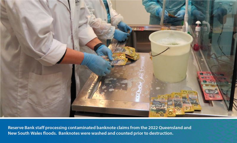 Reserve Bank staff processing contaminated banknote claims from the 2022 Queensland and New South Wales floods. Banknotes were washed and counted prior to destruction.