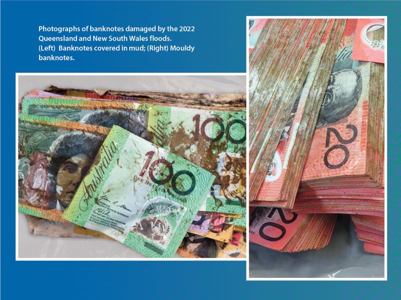 Photographs of banknotes damaged by the 2022 Queensland and NSW floods. Banknotes covered in mud.