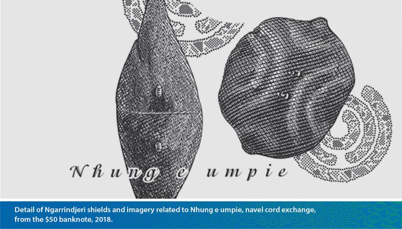 Detail of Ngarrindjeri shields and imagery related to Nhung e umpie, navel cord exchange, from the $50 banknote, 2018.