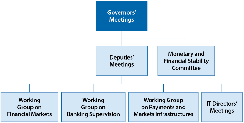 The RBA is involved in the Governors' and Deputies' meetings, the Monetary and Financial Stability Committee, IT Directors' Meetings, and working groups on Financial Markets, Banking Supervision, and Payments and Markets Infrastructures.
