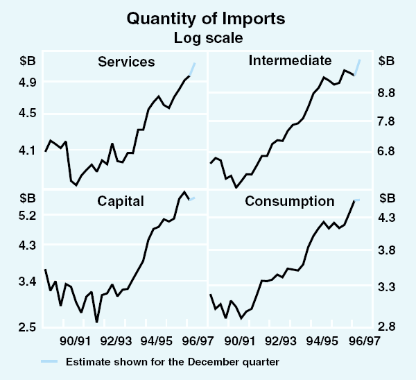 Graph 12: Quantity of Imports