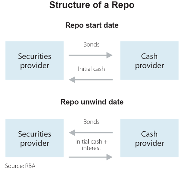 Figure 1: Structure of a Repo