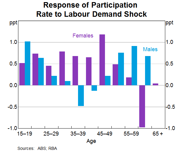Graph 4: Response of Participation Rate to Labour Demand Shock
