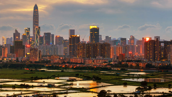 The illuminated evening skyline of Hong Kong with rice fields in the foreground.