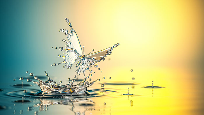 A digital butterfly emerges from a liquid.