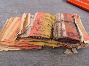 Old $20 orange paper banknotes with crumbling edges and silver security strip exposed from moisture damage.