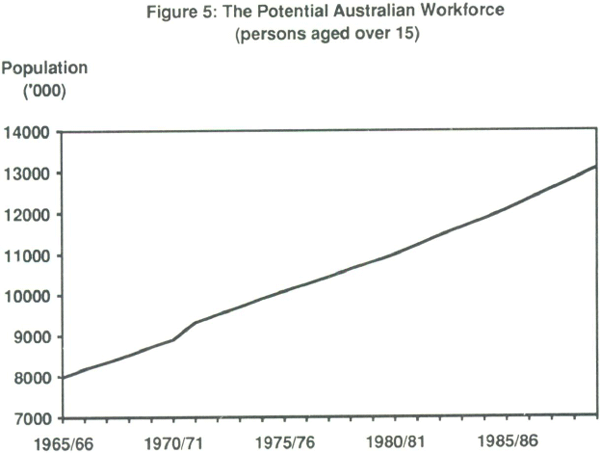 Figure 5: The Potential Australian Workforce