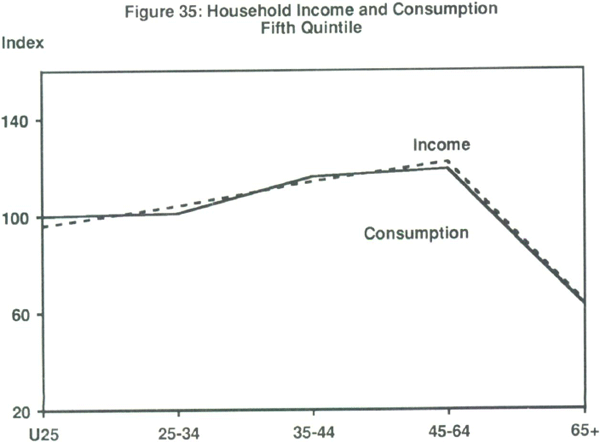Figure 35: Household Income and Consumption Fifth Quintile