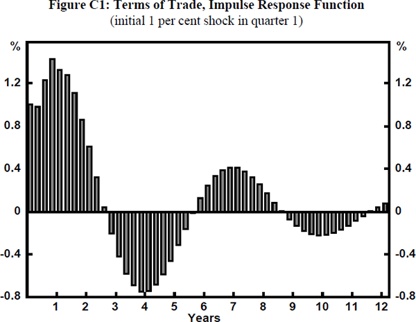 Figure C1: Terms of Trade, Impulse Response Function