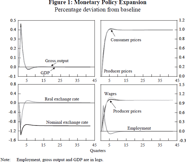 Figure 1: Monetary Policy Expansion