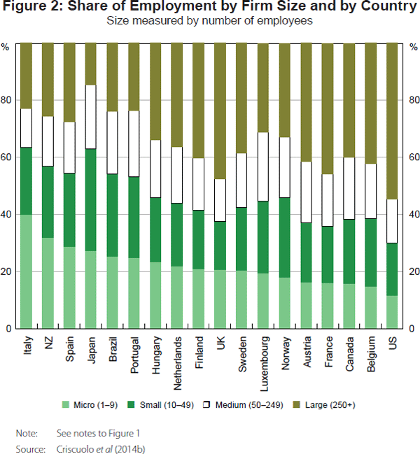 Figure 2: Share of Employment by Firm Size and by Country