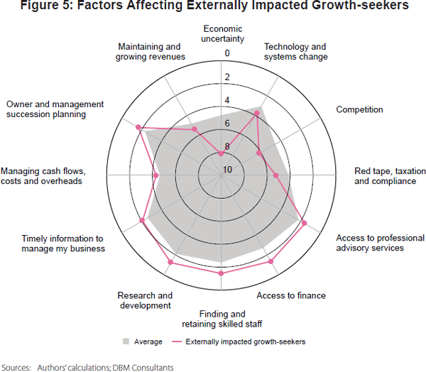 Figure 5: Factors Affecting Externally Impacted Growth-seekers