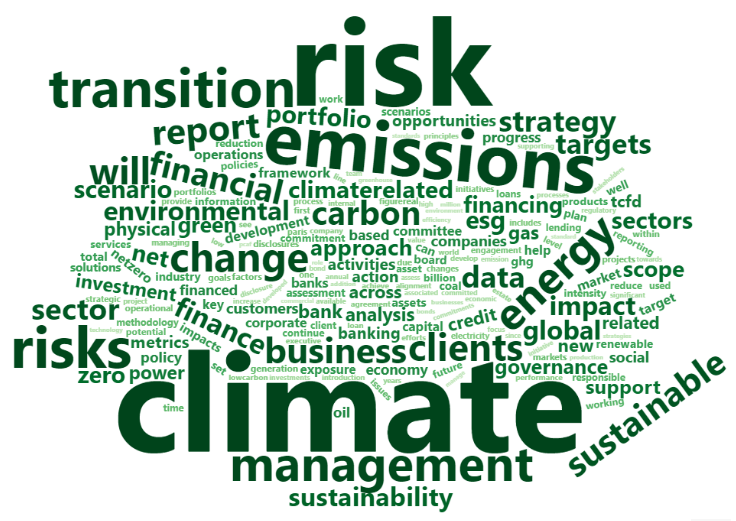 A word cloud dominated by the words 'climate', 'risk' and 'emissions'.