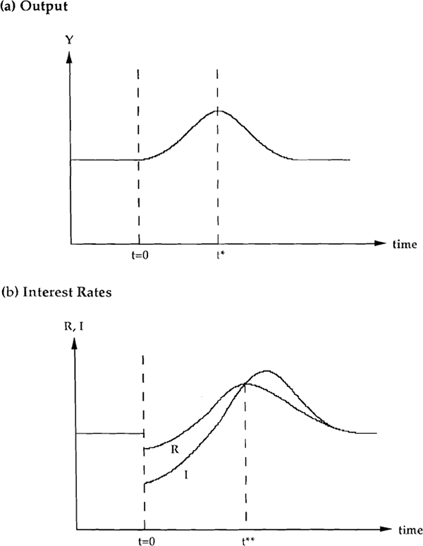 Figure 2: Adjustment Paths in Response to Monetary Shock