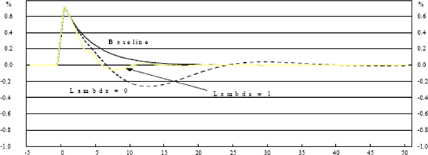 Graph 2: Output Gap – GDP Shock