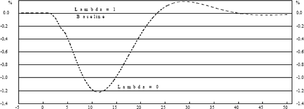 Graph 4: GDP Gap – Inflation Shock