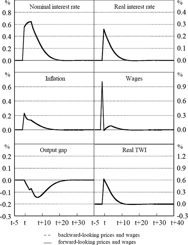 Figure 7: Wages Shock