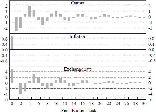 Figure 2: Strict Inflation Targets – Responses to an Inflation Shock