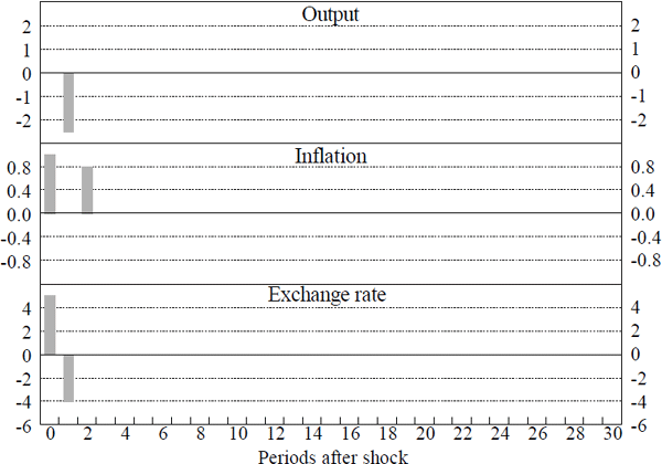 Figure 4: Strict π* Targets – Responses to an Inflation Shock
