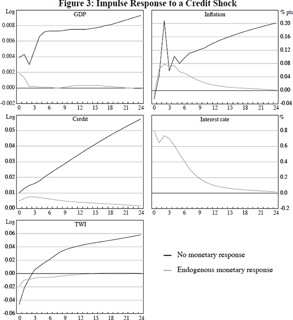 Figure 3: Impulse Response to a Credit Shock