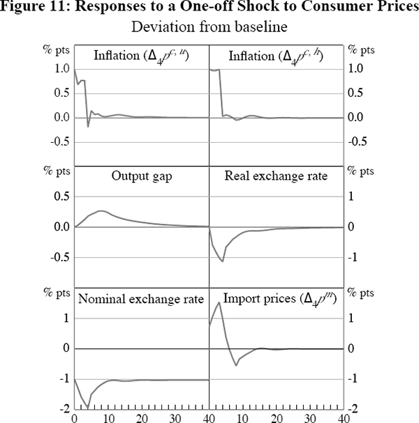 Figure 11: Responses to a One-off Shock to Consumer Prices