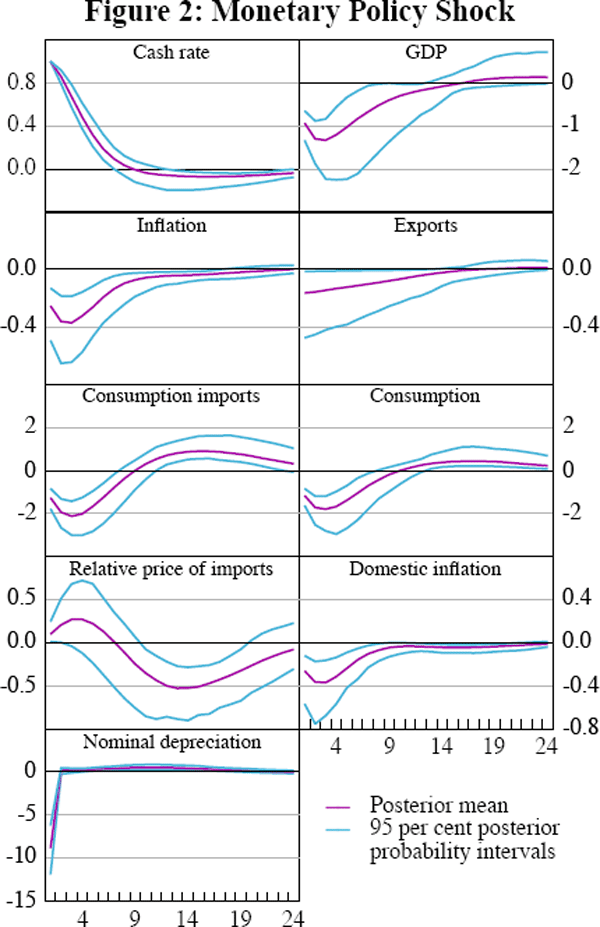 Figure 2: Monetary Policy Shock