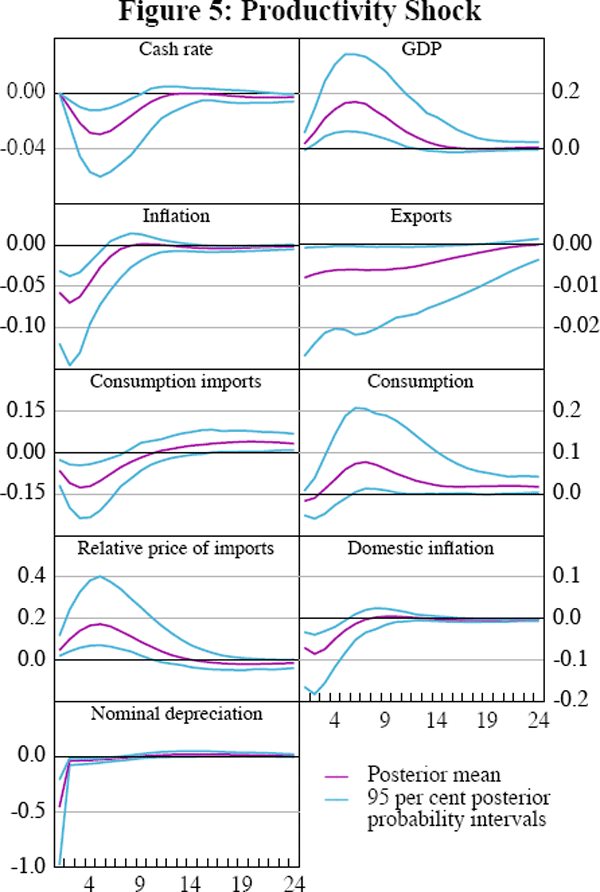 Figure 5: Productivity Shock