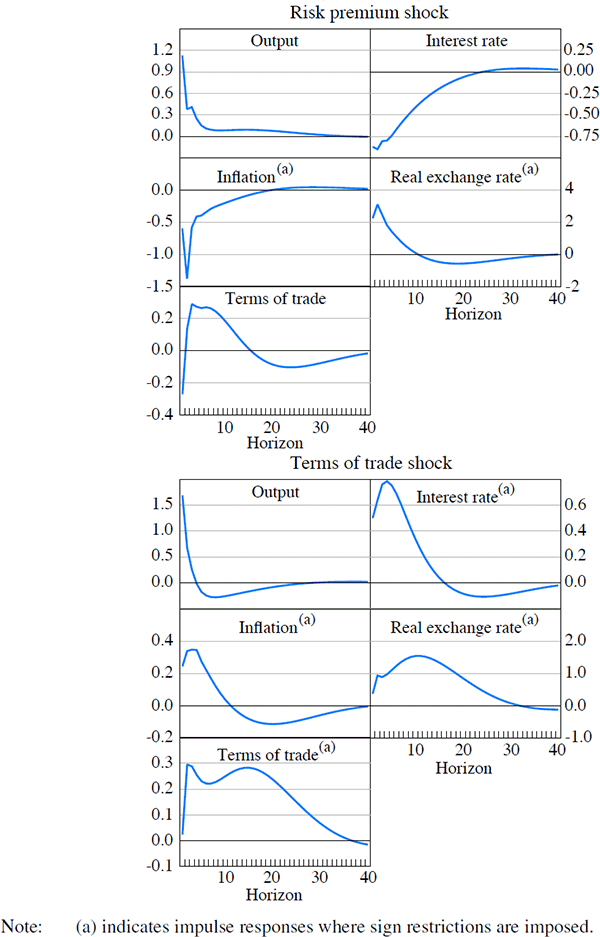 Figure B4: Sign-restricted VAR – Impulse Response 
Functions