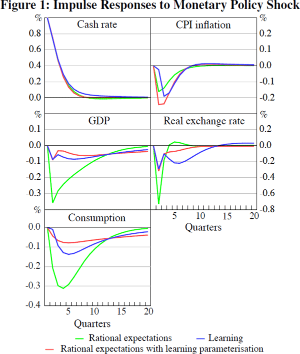 Figure 1: Impulse Responses to Monetary Policy Shock