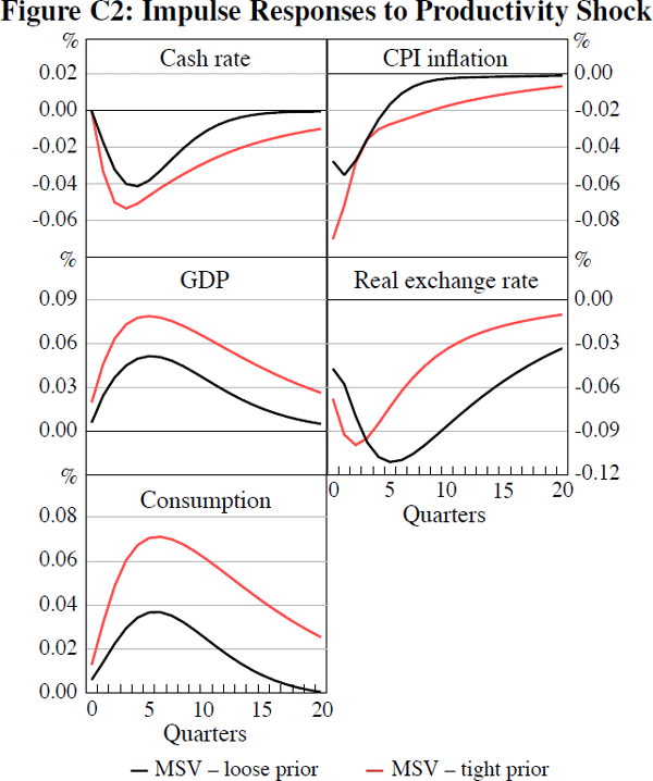 Figure C2: Impulse Responses to Productivity Shock