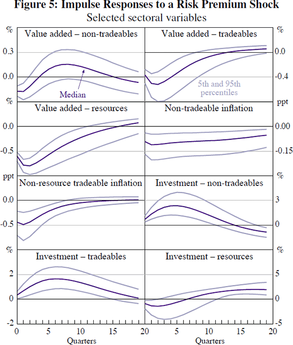 Figure 5: Impulse Responses to a Risk Premium Shock