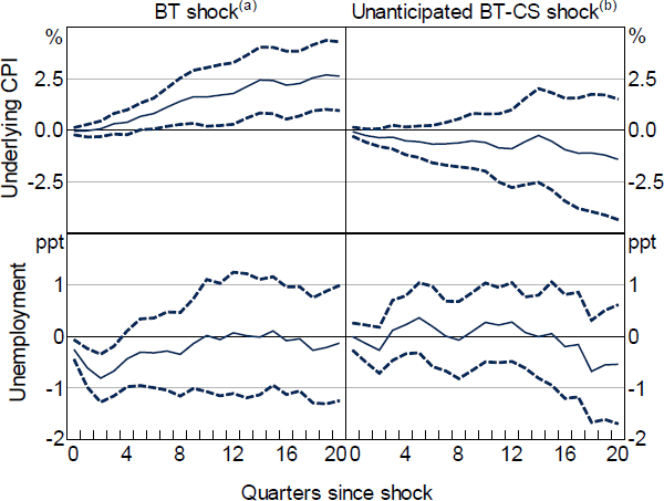 Figure D2: Monetary Policy Effects – Evidence from Local Projections