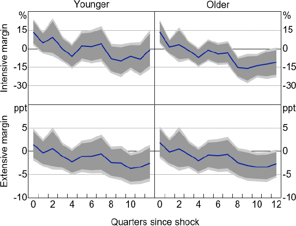 Figure 5: Investment Response to 100 Basis Point Monetary Policy Shock