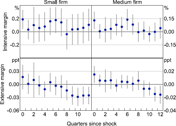 Figure C1: Investment Response to 100 Basis Point Monetary Policy Shock