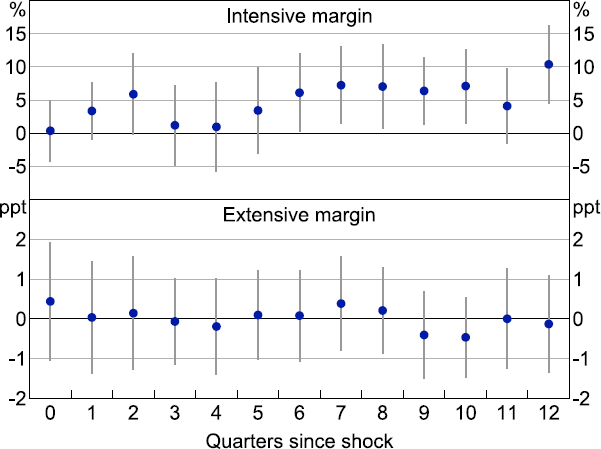 Figure C2: Investment Response to 100 Basis Point Monetary Policy Shock