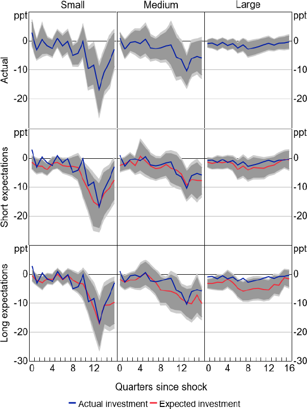 Figure C8: Investment Response to 100 Basis Point Monetary Policy Shock