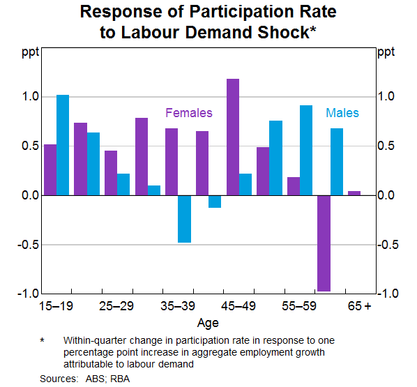 Graph 15: Response of Participation Rate to Labour Demand Shock